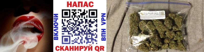 Купить  Солнечногорск  Марихуана Amnesia 